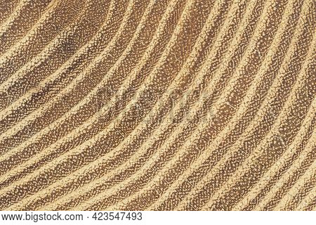 Growth Rings Of Acacia Tree For Background