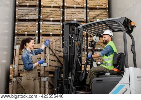 Employee On Electric Forklift Carry Container With Ripe Apples To Storage Camera, Manager With Table