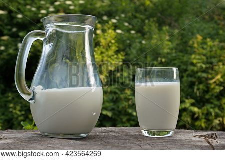 A Glass Jug And A Clear Glass Filled With White Fresh Milk Stand On A Gray Cracked Old Stump Against