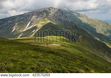 Beautiful Spring View From Monte Bove Sud With Green Meadow In The National Park Of Monti Sibillini,