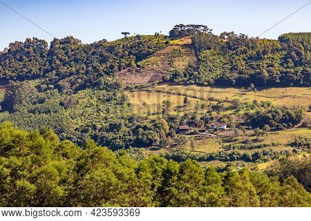 Forest And Farm Plantation Views Over Mountains