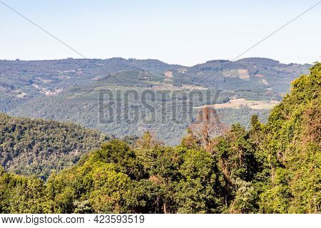 Forest And Farm Plantation Views Over Mountains