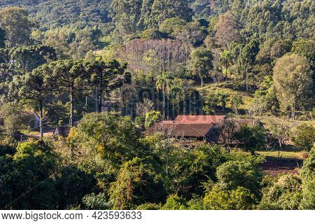Farm House Aorund Forest, Pnhal Alto, Nova Petropolis, Rio Grande Do Sul, Brazil