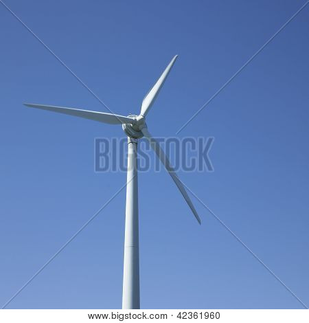 Windmill