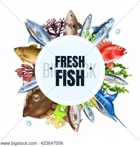 Sea Fish Realistic Round Composition With Different Types Symbols Vector Illustration