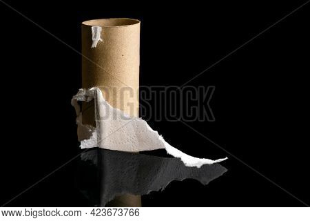 Cardboard Sleeve From A Roll Of Toilet Paper. The Rest Of The Paper. On A Black Background With A Re