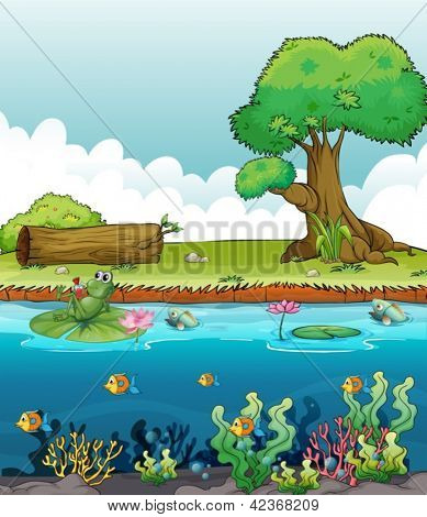 Ilustracja żaby i ryby w rzece