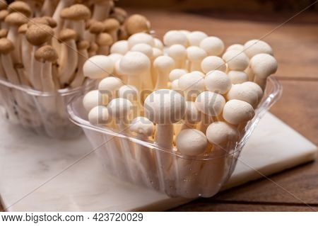 Shimeji Edible Mushrooms Native To East Asia, Buna-shimeji Is Widely Cultivated And Rich In Umami Ta