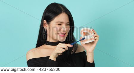 Woman Holding Toothbrush And Dental Teeth Model. Oral Health Care Concept.