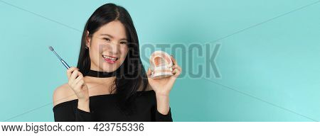Woman Holding Toothbrush And Dental Teeth Model. Oral Health Care Concept.