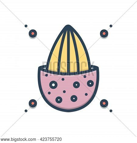 Color Illustration Icon For Hardcore Orthodox Staunch Brick-bat Ballast Baulk Clod