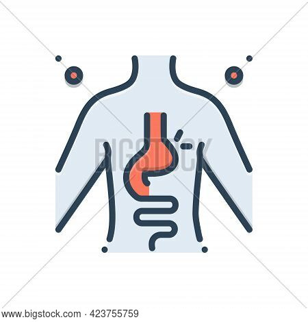 Color Illustration Icon For Hernia Inguinal Stomach Diverticulitis Digestive Body