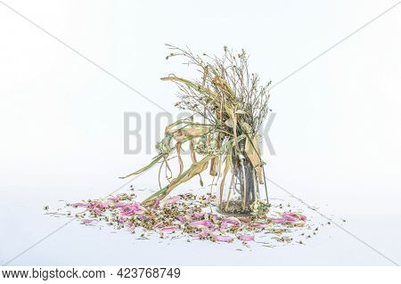 wilted flowers bouquet in a clear glass vase ,Vintage filtered