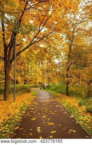 Colorful Seasonal Autumn With Wet Asphalt Road Way And With Listopad In Landscaped Scenic Park.