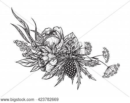 Beautiful Vector Composition Of Black And White Feverweed, Peony Flowers, Isolated On White Backgrou