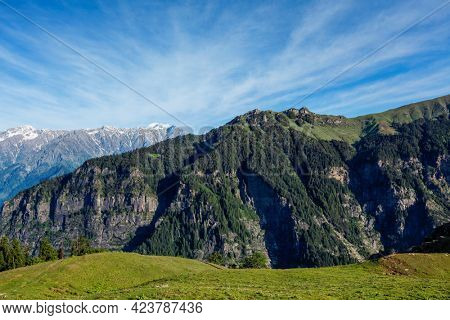 Spring meadow in Kullu valley in Himalaya mountains. Himachal Pradesh, India