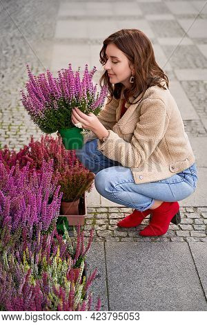 Young Beautiful Woman Sitting In Squats Holding A Flower Pot With Blooming Violet Heather Plant In A