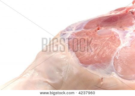 Rå benet af Pigling - Grisling. Lukke.