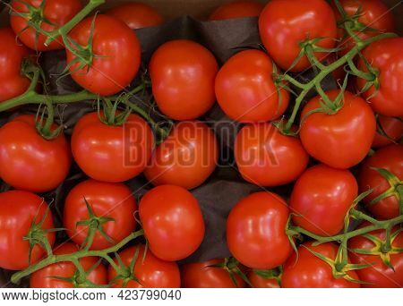 Full Frame Background Of Bright Red Tomatoes On Green Vine Stalks