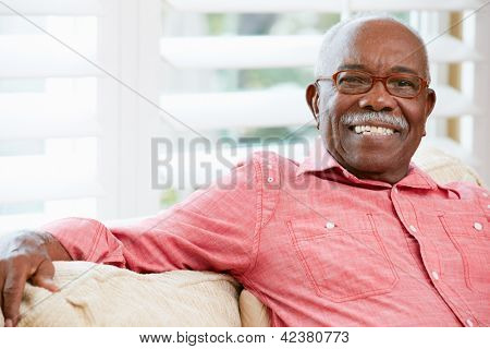 집에서 행복 한 수석 사람의 초상화
