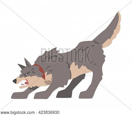 Aggressive Gray Dog Barking And Baring Its Teeth Vector Illustration