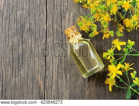 Glass Bottle Of St. John\'s Wort Essential Oil With Flowers, Alternative Medicine