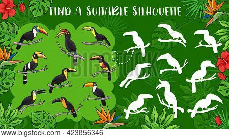 Cartoon Toucan Birds, Vector Kids Game Find Toucan Silhouette. Education Puzzle, Memory Game, Matchi
