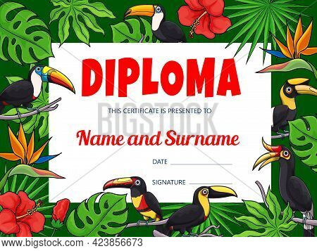 Kids Education Diploma With Cartoon Vector Toucan Birds And Jungle Background Frame Border. Student 