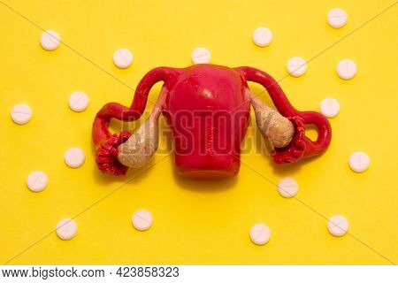 Anatomical Model Of The Female Reproductive System, Namely The Uterus With Appendages, Is On A Yello