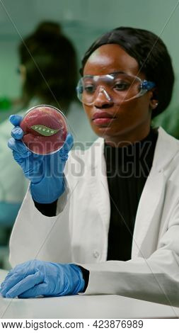 African Chemist Looking At Lab-grown Vegan Meat Sample For Microbiology Expertise. Scientist Woman W