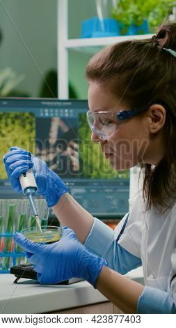 Chemist Woman Taking Dna Liquid From Test Tube With Micropipette Putting In Petri Dish Analyzing Gen
