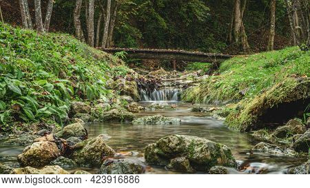 Close Up View Of Waterfall In The Forest And Bridge Over River. Samoborsko Gorje, Summer In Croatia.