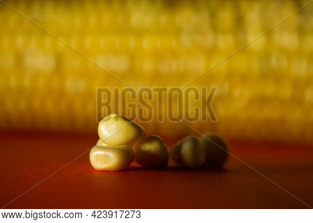 Corn Grains Close Up Against The Cob Of Corn.