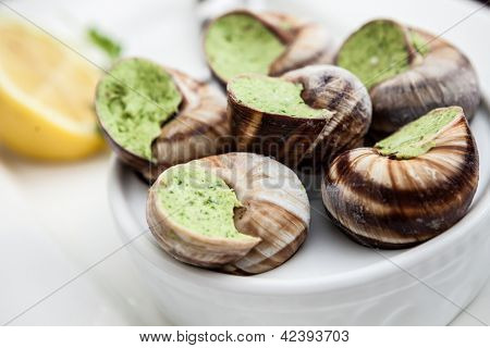 Lumache con aglio burro e limone