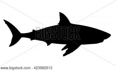 Shark Silhouette On A White Background. Side View. Vector Illustration