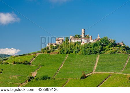 Castle and village Castiglione Falletto, Piemonte, Italy