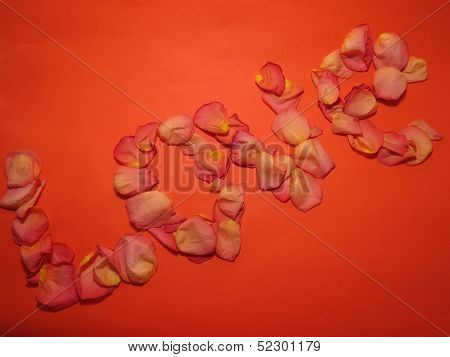 Love Is Made Of Rose Petals