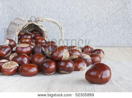 Horse Chestnuts Or Conkers On The Table.