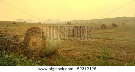 Country Morning
