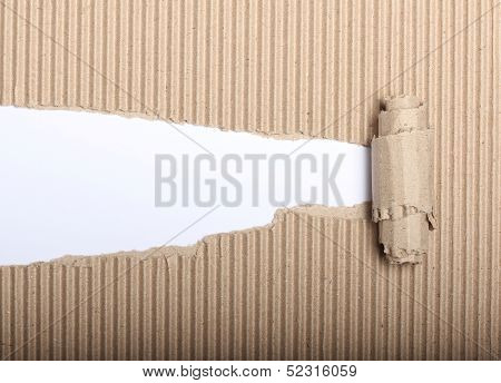 Paper And Torn Cardbox