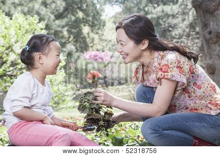 Mother and daughter planting flowers.