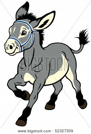 Cartoon Donkey