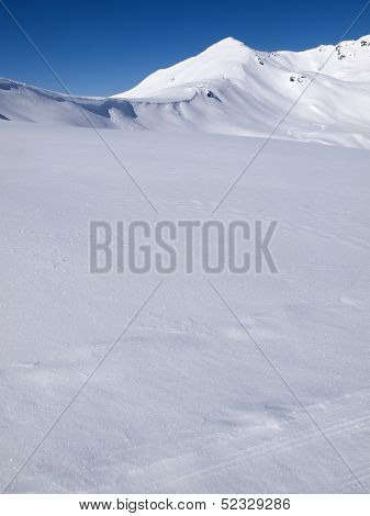 Winter Landscape Background