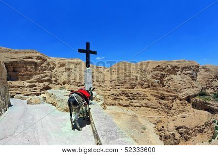 At the roadside donkey tied to a red horse-cloth. A large black cross indicates the way to the temple. Wadi Kelt, the road to the monastery of St. George. Israel