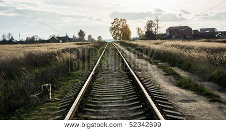 Railway road