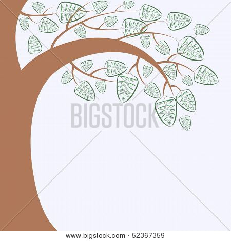 Branch Of A Tree
