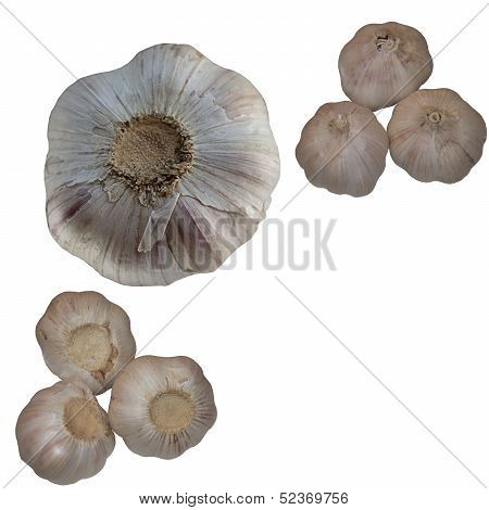 Garlic Close Up On A White Background.