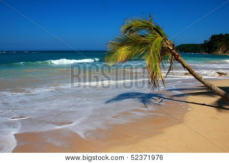 Beach La Presiosa
