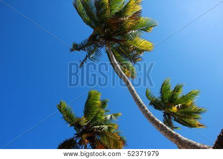 Beach La Presiosa
