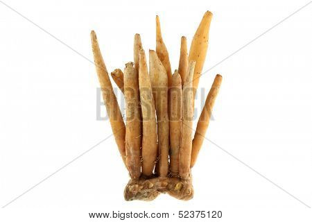 Fresh Finger root / Chinese Ginger (Boesenbergia rotunda) isolated on white background